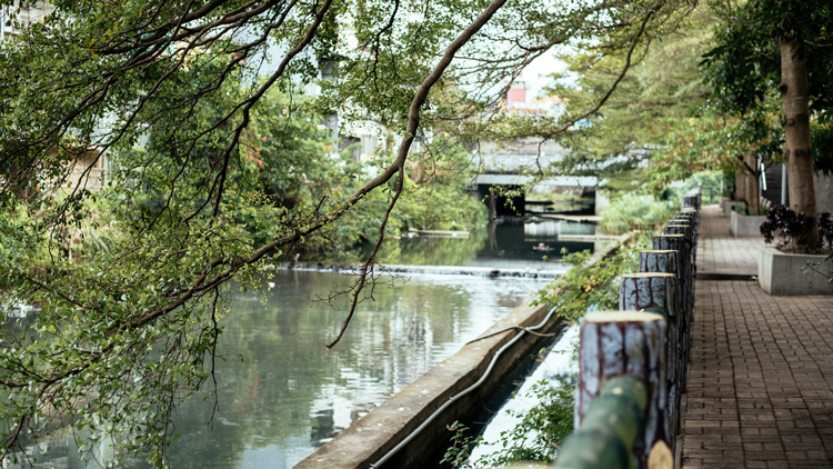 中興河道
